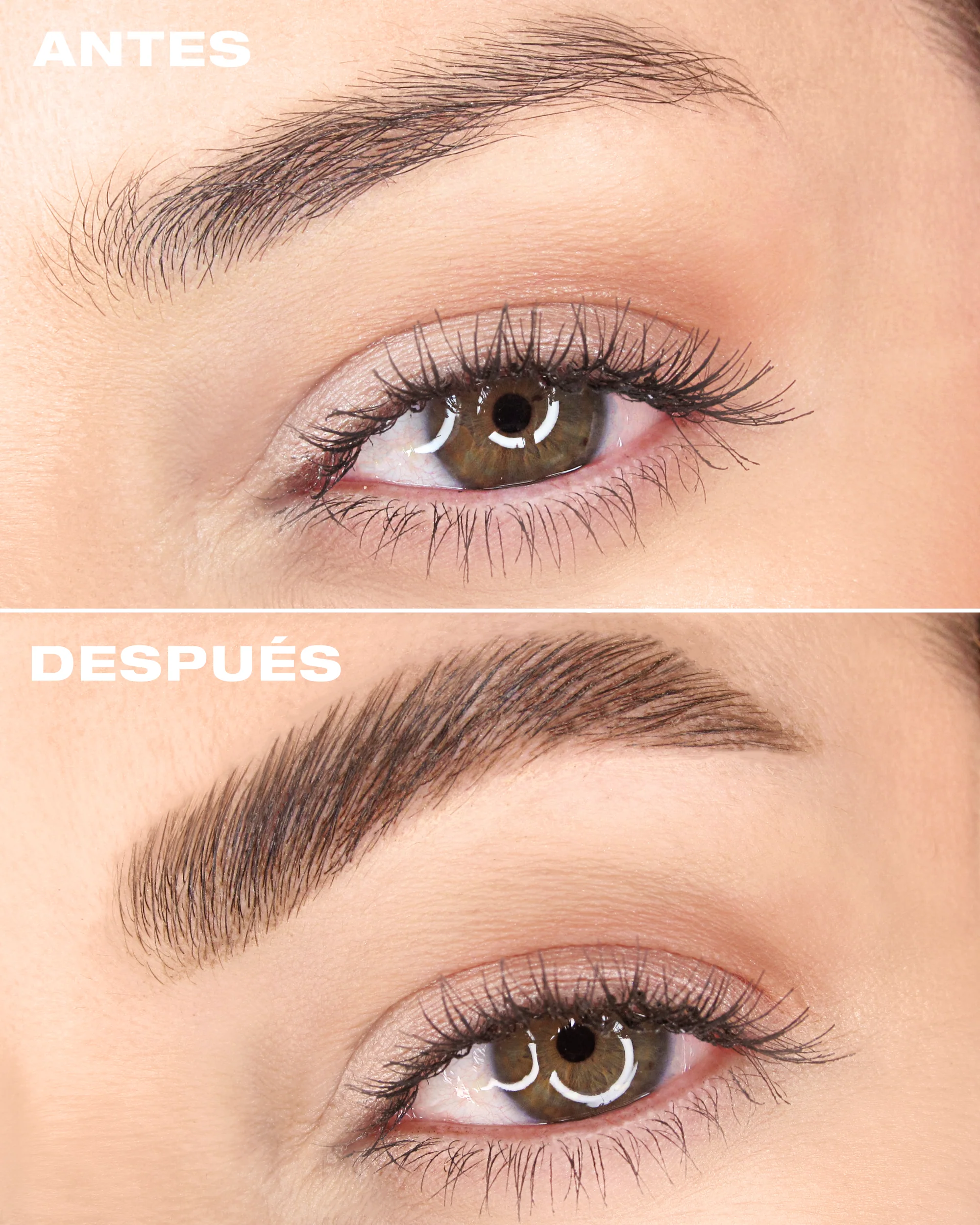 Estilizador de cejas - Gel on Fleek - Image 5