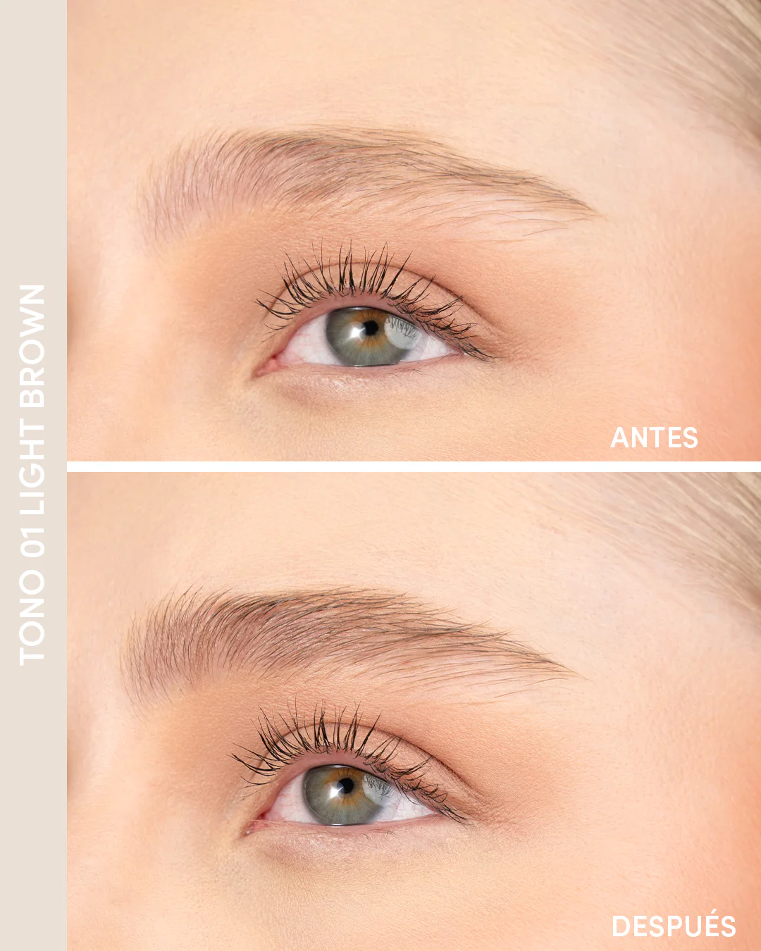Voluminizador de Cejas - Image 7
